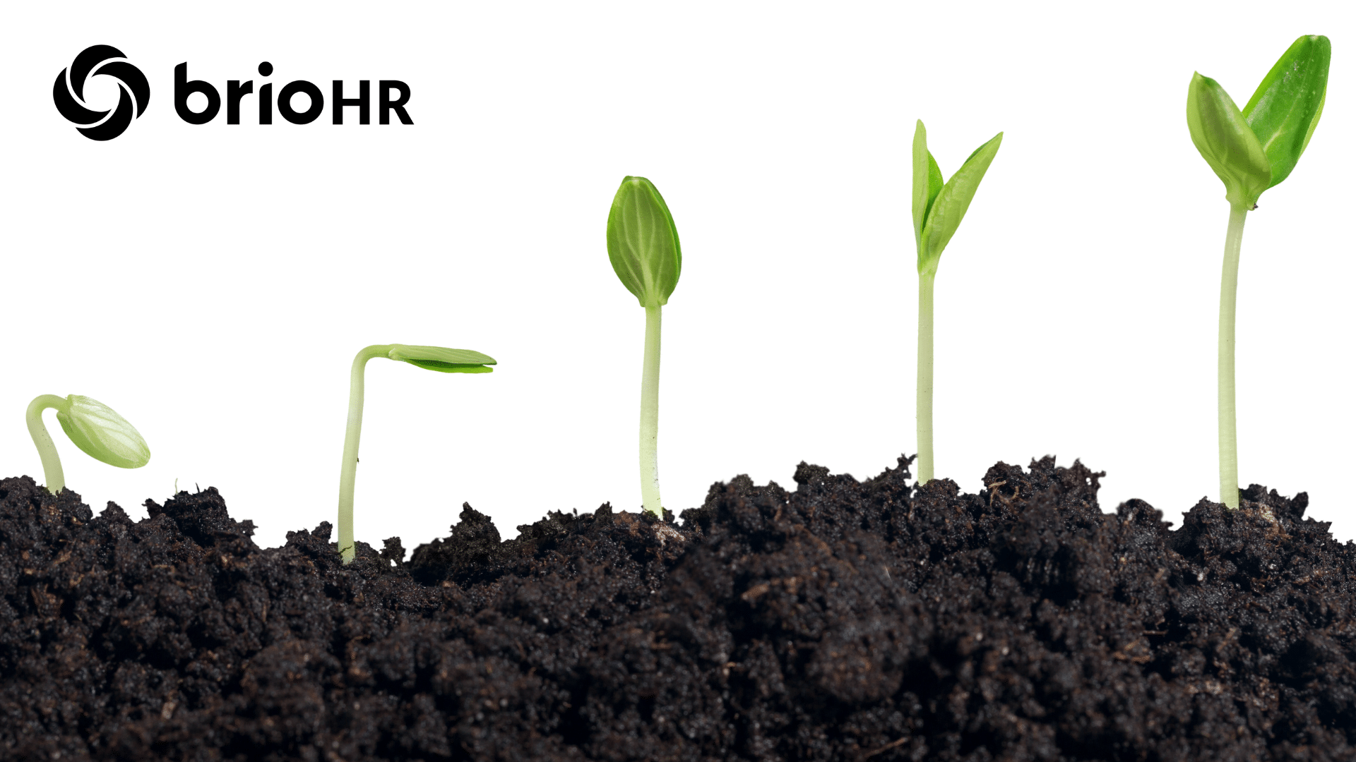 high growth companies hr